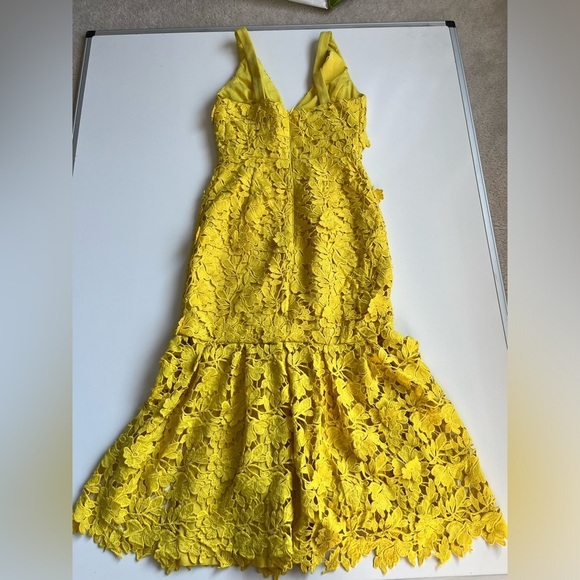 ANTONIO MELANI Lace Formal floral Dress - Picture 9 of 9